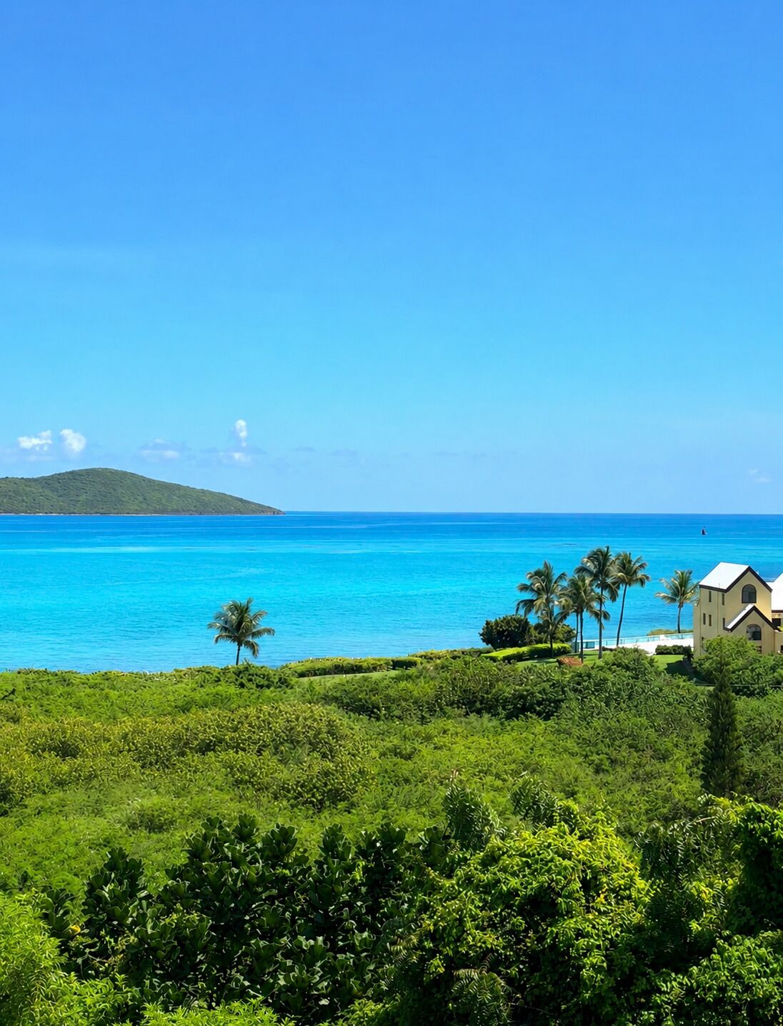 A coastal landscape with a clear blue sea, lush greenery, and a building with a white roof.