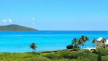 A coastal landscape with a clear blue sea, lush greenery, and a building with a white roof.