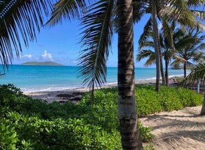 Beach nearby, sun-loungers, beach towels - The View at Green Cay - Full AC - Walk to the Beach (Christiansted)