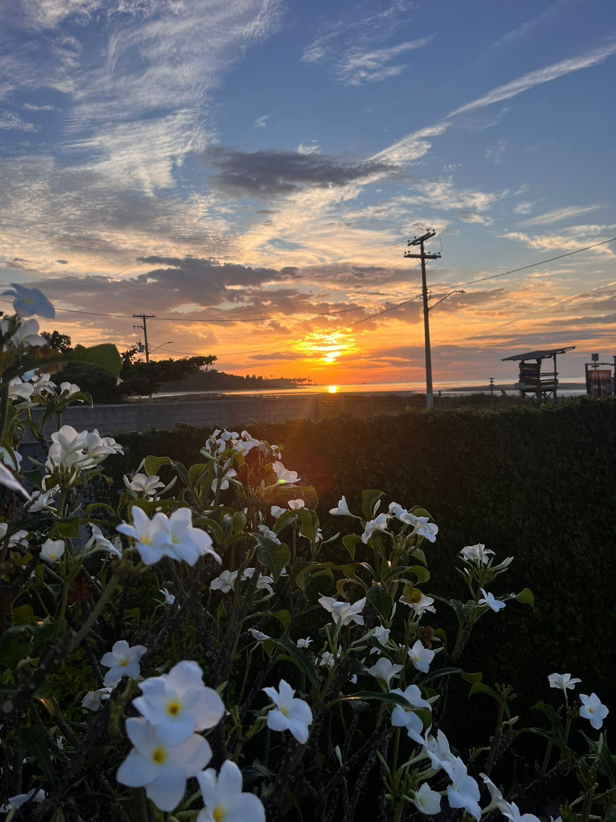 Ein Sonnenuntergang über einer Küstenlandschaft, im Vordergrund weiße Blüten und im Hintergrund eine Holzkonstruktion.