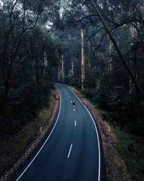 A winding road through a dense forest with a person walking.