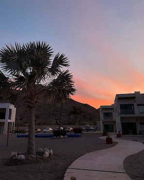 Un estacionamiento con palmeras, un edificio de techo plano y una montaña al fondo.