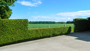 Property grounds - Fewotraum Müritz - MÖWE3 (Röbel)
