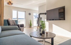 Smart-TV, Kamin