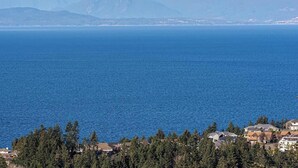 Une zone résidentielle côtière, avec des maisons et de nombreux arbres au premier plan, et une vaste étendue d’eau qui s’étend jusqu’à l’horizon.