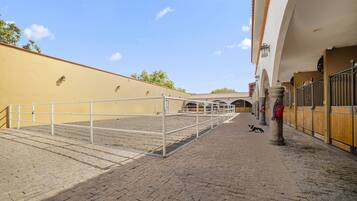 Property grounds