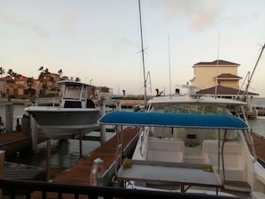مارينا