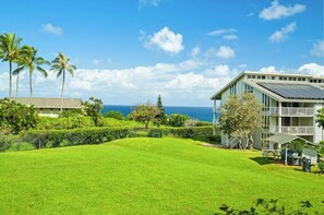 Exterior - Modern oceanview condo with private lanai, shared pool, hot tubs & tennis court (Princeville)