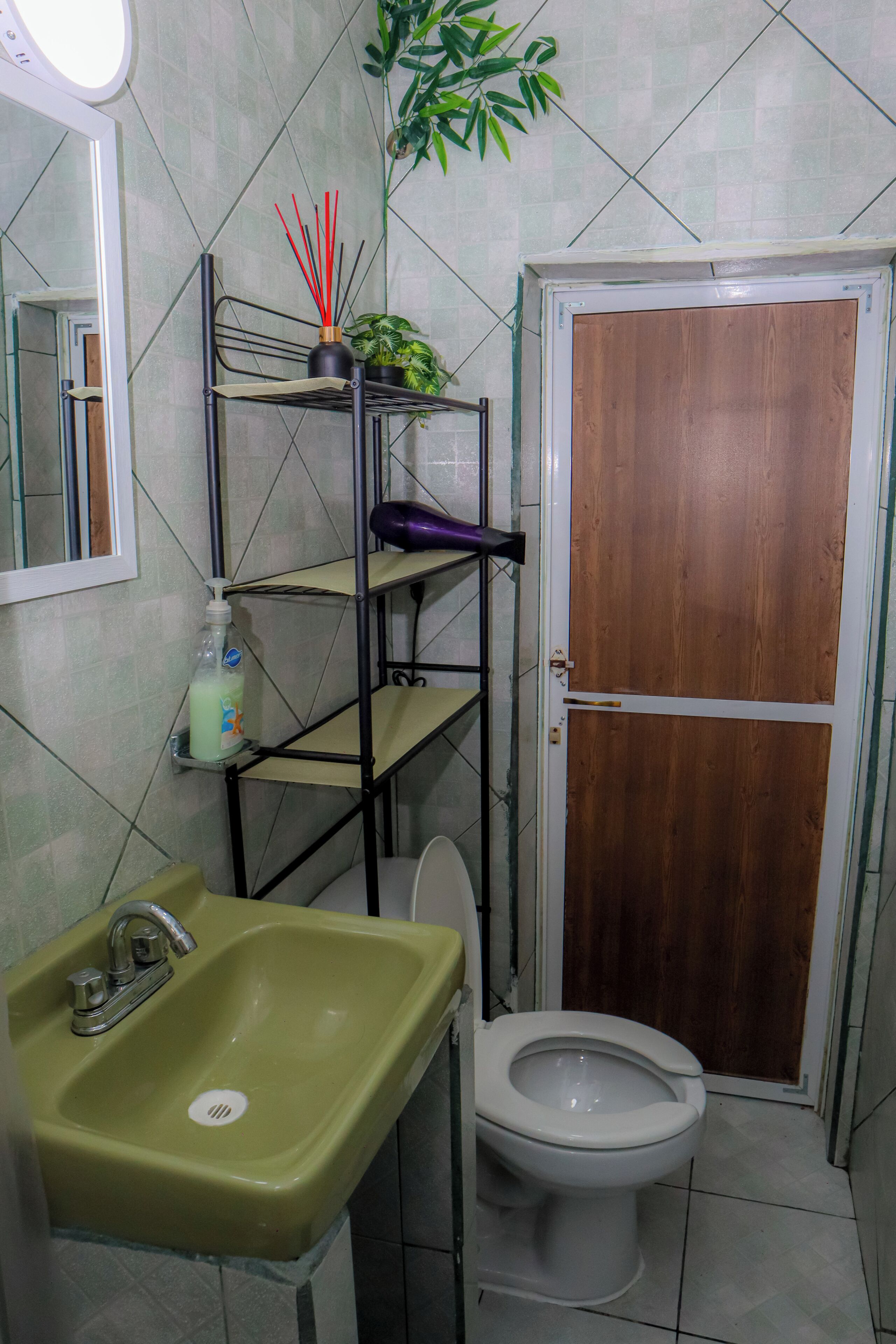 A bathroom with a green sink, a toilet, a mirror, a shelf with a plant, and a wooden door.