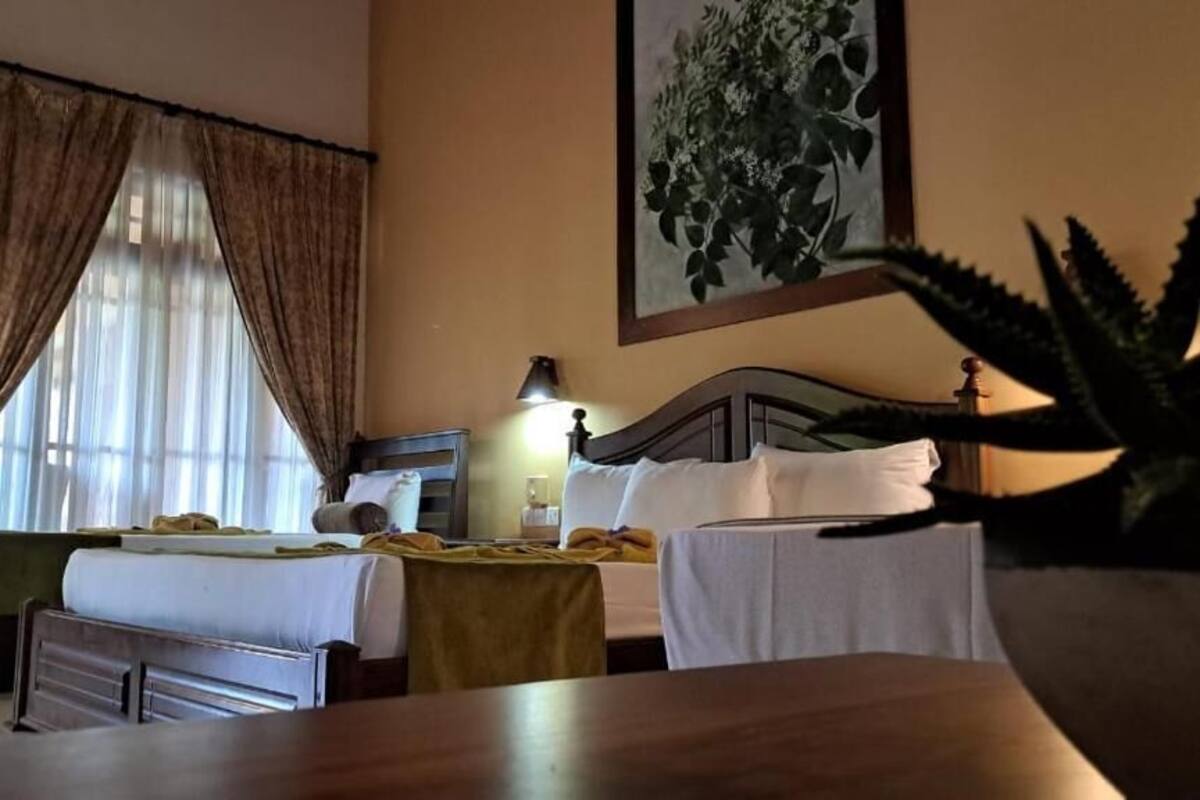 A hotel room with two beds, a table, a lamp, a plant, and a painting on the wall.
