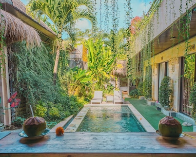Butterfly Guesthouse Canggu