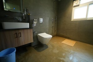Ducha, secador de pelo, toallas, jabón