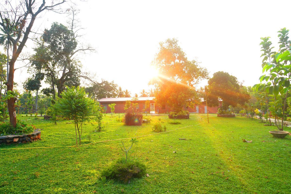 A grassy outdoor area with trees and a building in the background.