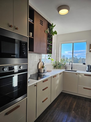 A modern kitchen with built-in appliances, a window with a view, and a potted plant.