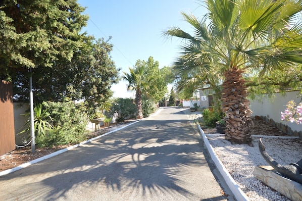 Eine Wohnstraße mit Häusern, Palmen und blauem Himmel.