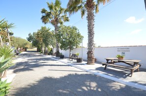 A street with palm trees, a bench, and a picnic table.