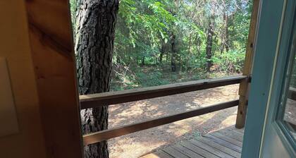 Shawnee Pines #3 - Cozy Cabin