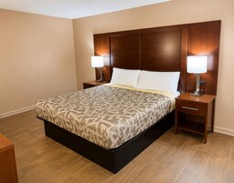 Habitación estándar, balcón, vistas al lago | Escritorio, espacio para trabajar con un portátil, wifi gratis