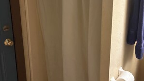 A bathroom with a shower curtain, a toilet paper holder, and a towel rack. - Shawnee Pines #2 - Studio (Golconda)