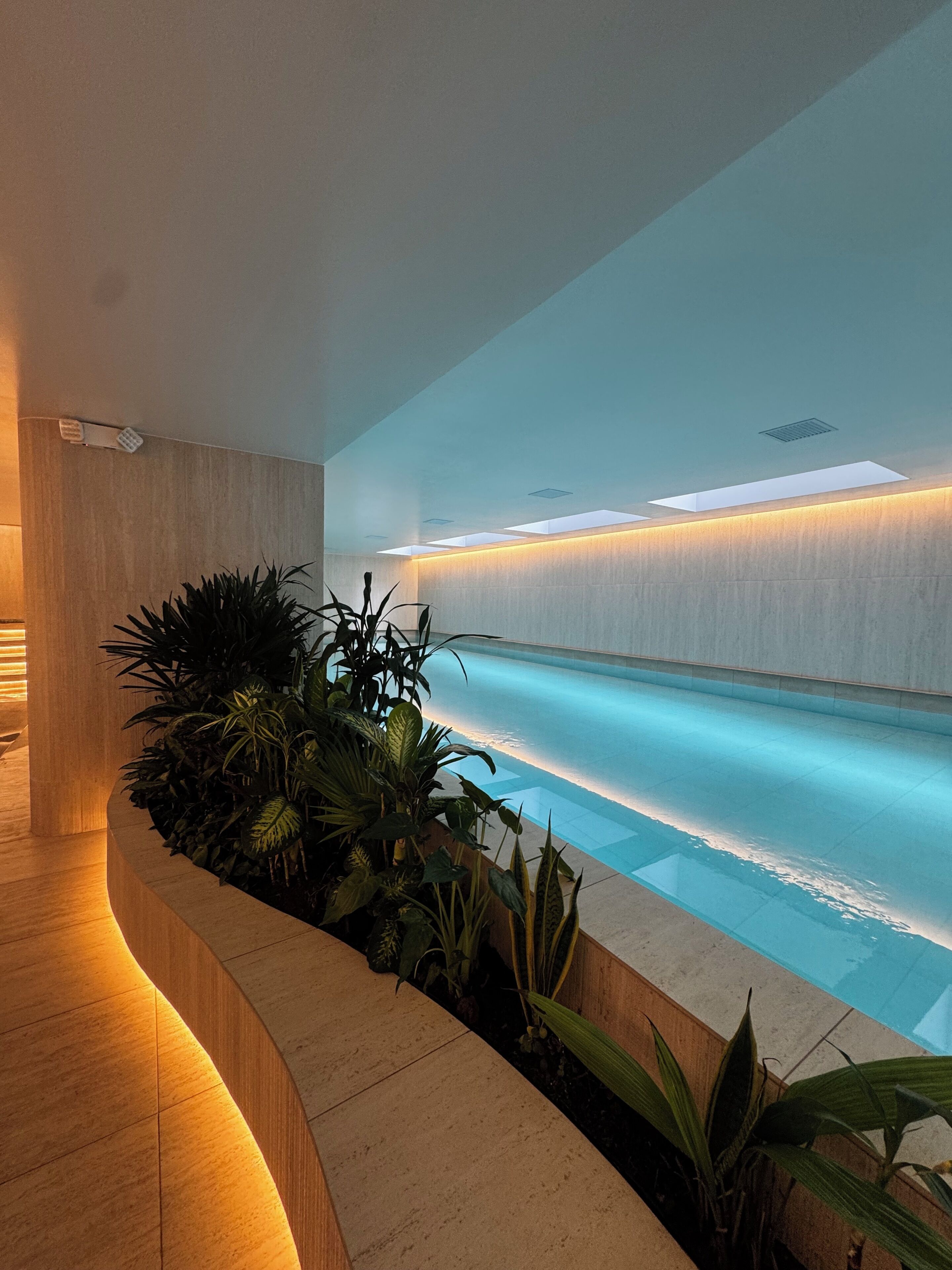 En moderne swimmingpool indendørs med en buet træbænk og tropiske planter.