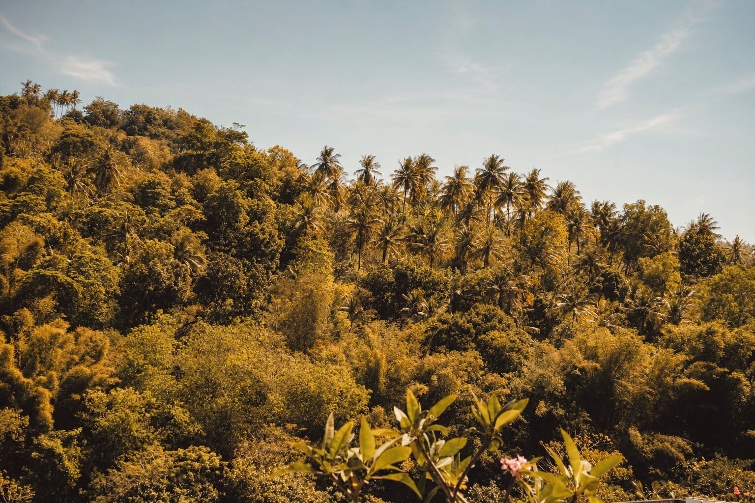 منوع