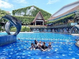 Una piscina al aire libre