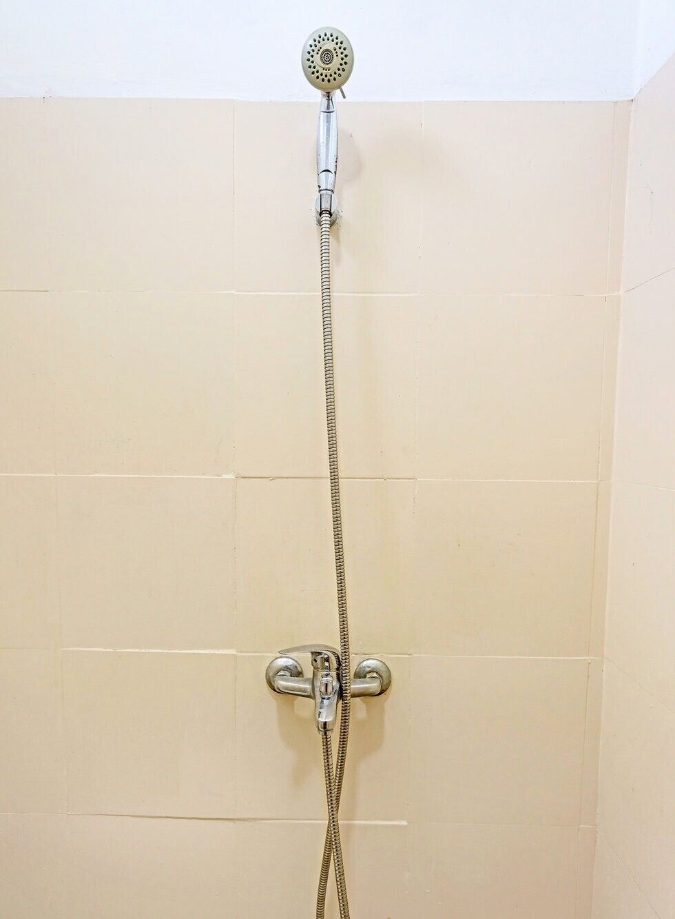 Shower, bidet, towels, toilet paper