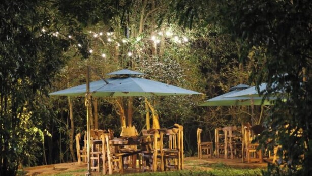 Un espace de restauration en plein air, doté de mobilier en bois et de parasols, entouré d’arbres et illuminé de guirlandes lumineuses.