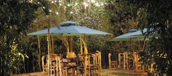 The Treetops Lodge