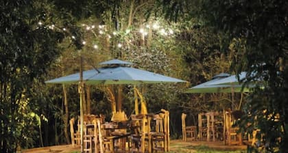 The Treetops Lodge