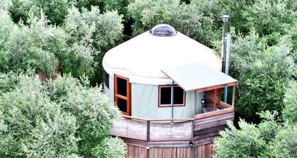 Luxury Yurt Rental for Romantic Glamping Vacations in Jumbunna, Victoria