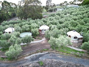 Three dome-shaped cabins surrounded by dense greenery, with a dirt path connecting them.