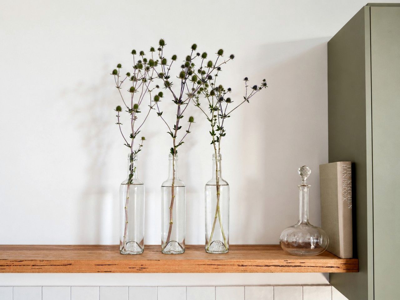 Três vasos de vidro transparentes com plantas sobre uma prateleira de madeira.