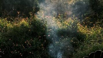 Uma fogueira circular com duas cadeiras e dois copos sobre um toco de madeira, rodeada por vegetação e árvores.