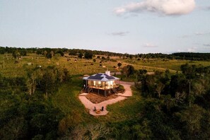 A house with a solar panel roof, surrounded by a grassy field and trees.