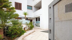 Une cour avec un sol carrelé, une porte en métal et diverses plantes.