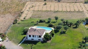 A house with a swimming pool, surrounded by a well-maintained lawn and a vineyard. - Villa Monica - Alghero (Alghero)