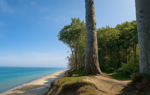 Ein Strand mit Bäumen und blauem Himmel.
