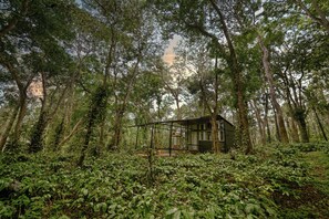 A cabin in a forest with a metal framework and a wooden structure.