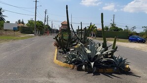 A road with a cactus garden, a blue car, and a building with a red roof in the distance. - TJ Guest House - Jamaica (Spanish Town)