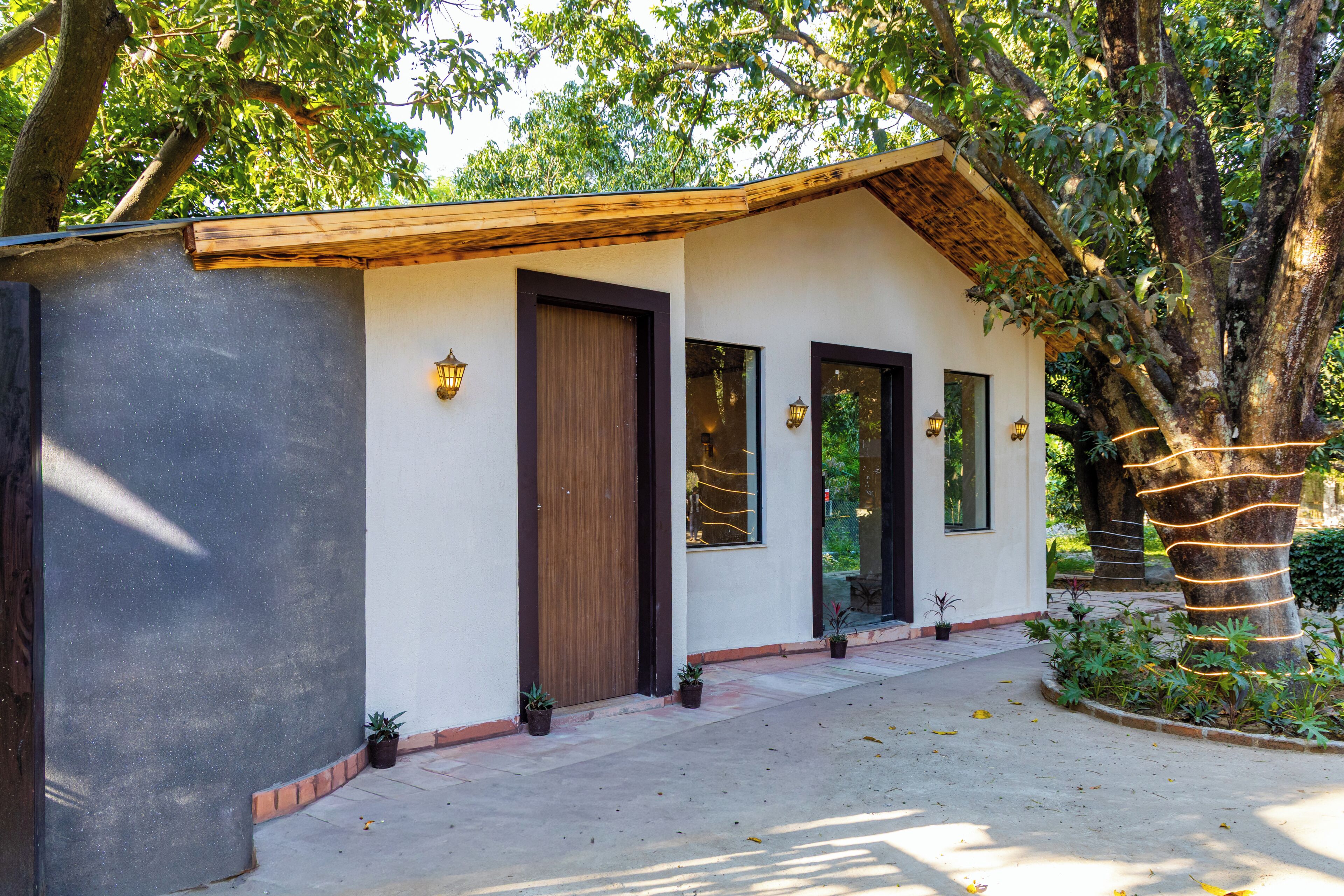 A building with a covered porch, a large tree in the background, and potted plants along the walkway.