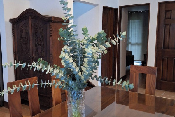House, 3 Bedrooms, Accessible, Patio | Dining room