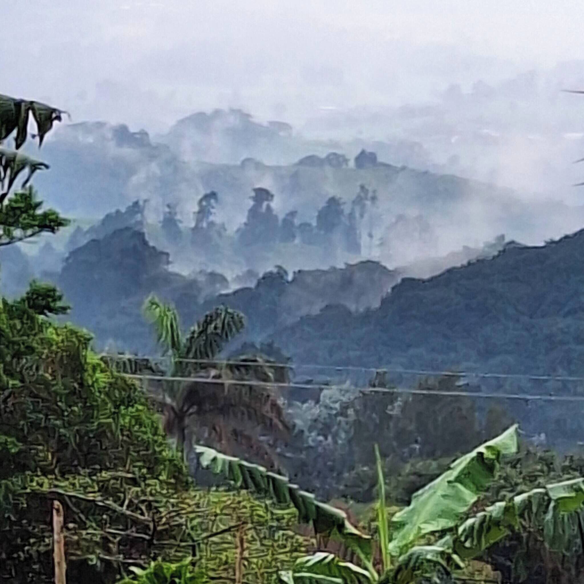 A mountainous landscape with dense vegetation and a misty atmosphere.