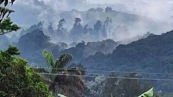 A mountainous landscape with dense vegetation and a misty atmosphere.