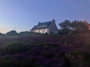 Ein Haus mit geneigtem Dach, umgeben von violettem Heidekraut.