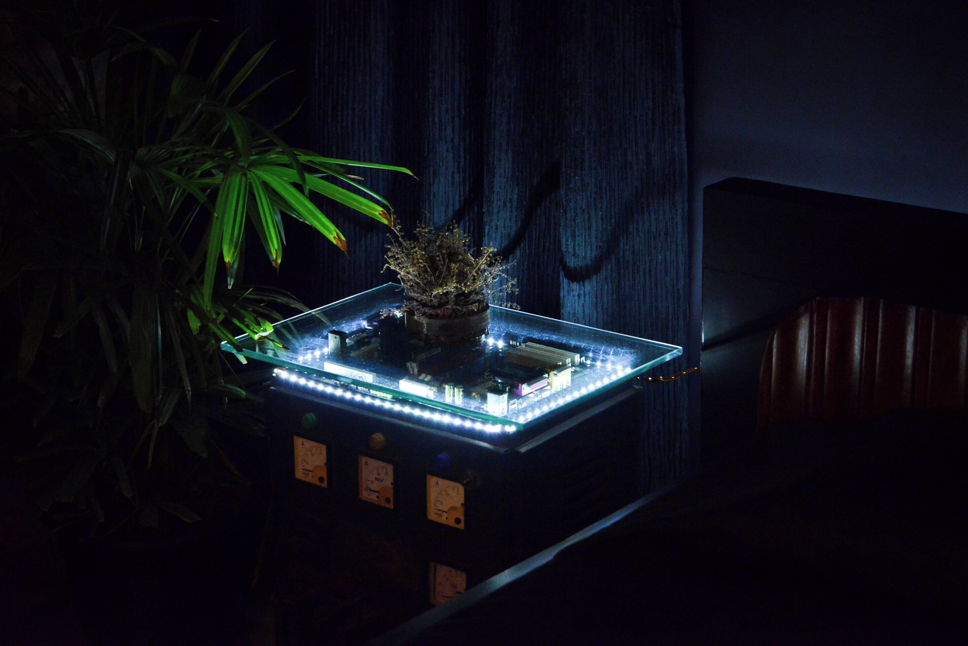 Uma pequena mesa com um vaso de planta e luzes LED iluminadas.