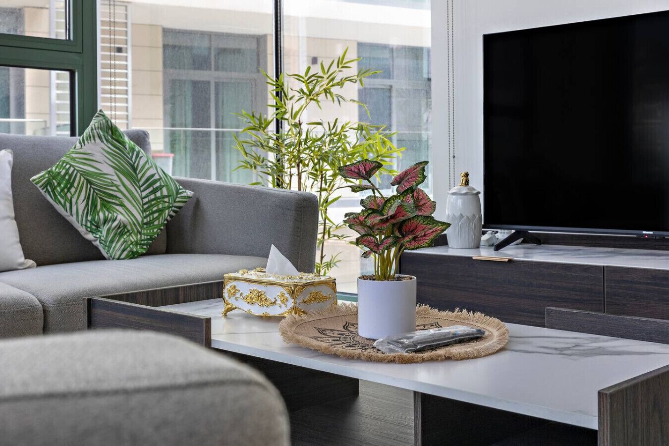 Un salon moderne avec un canapé gris, une table basse, un téléviseur et des plantes décoratives.