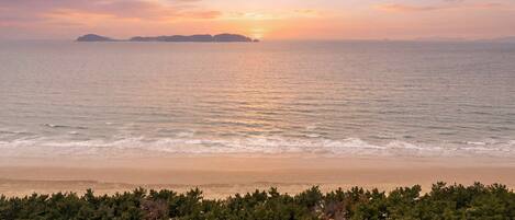 A beach with a sunset, calm sea, and a forested area in the foreground.