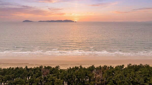 Una playa con atardecer, mar tranquilo y un área boscosa en primer plano.