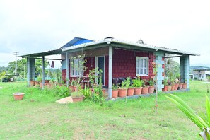 Ngoại thất